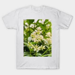 White flowers T-Shirt